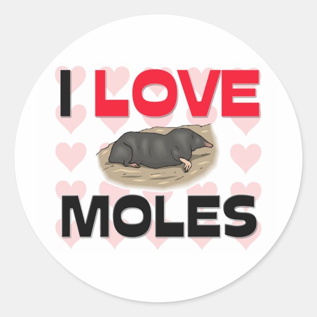 Adesivo Eu Amo Moles (Frente)