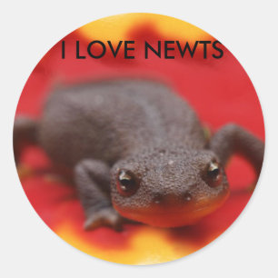 Adesivo Eu amo Newts