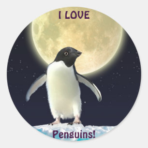 ADESIVO EU AMO PINGUINS PINGUINS PINGUENS BONITOS