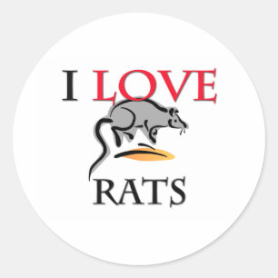 Adesivo Eu amo ratos