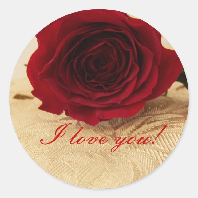 Adesivo Eu amo vocês, palermas (Frente)