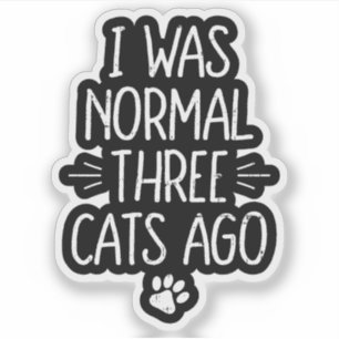 Adesivo Eu Era Normal Três Gatos Atrás Presente Divertido