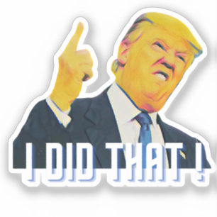 ADESIVO EU FIZ ISSO!