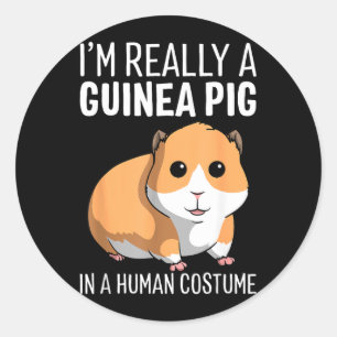 Adesivo Eu Sou Um Porquinho Da Índia Em Um Fantasia De Hum