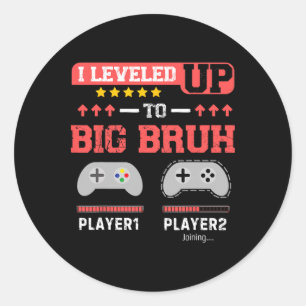 Adesivo Eu Subi de Nível Para Grande Irmão Gamer Divertido