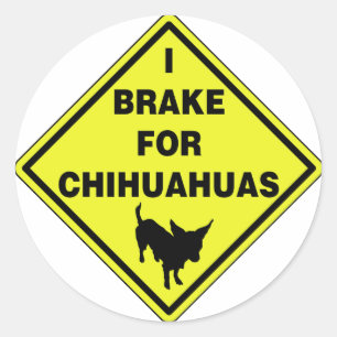 Adesivo Eu travo para chihuahuas