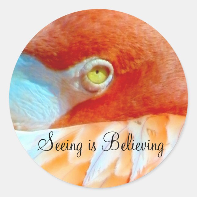 Adesivo Eu vejo o_ Sticker (Frente)