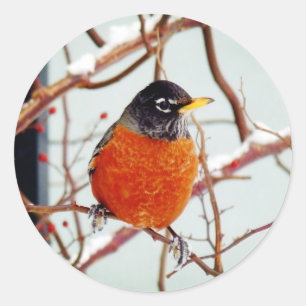 Adesivo Eu ver o primavera