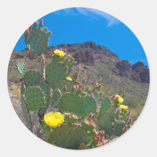 Adesivo EUA, Arizona. Cacto Nas Colinas