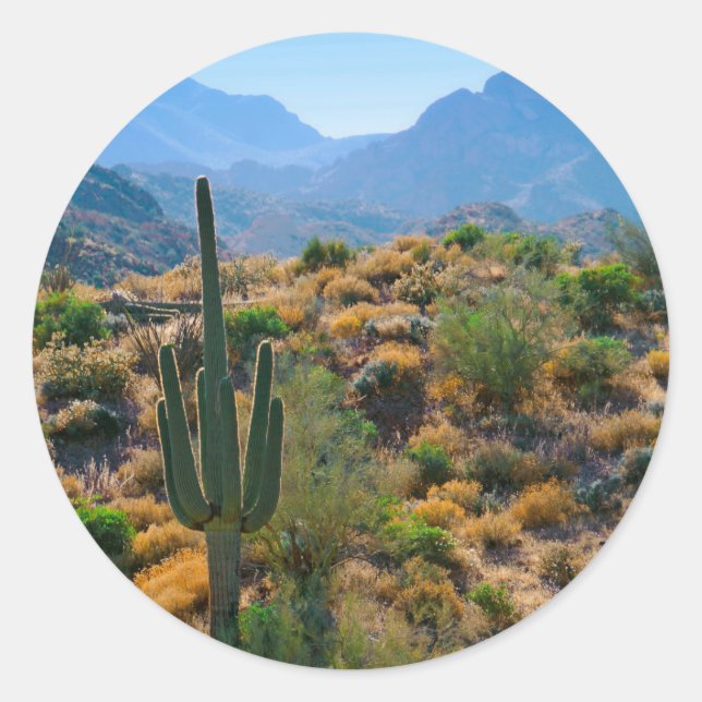 Adesivo EUA, Arizona. Desert View (Frente)