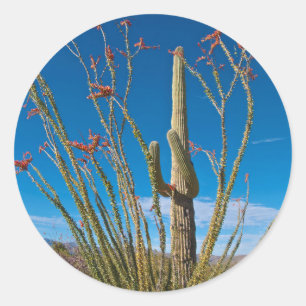 Adesivo EUA, Arizona. Parque Nacional De Cactus Em Saguaro