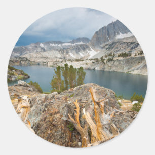 Adesivo EUA, Califórnia, Floresta Nacional de Inyo.
