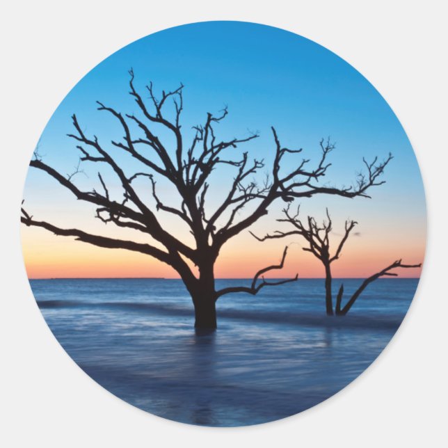 Adesivo EUA, Carolina do Sul, Edisto Island, Botany Bay (Frente)