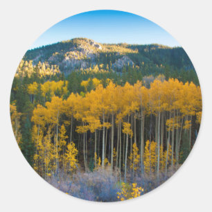 Adesivo EUA, Colorado. Álamos Amarelos Brilhantes nas Mont