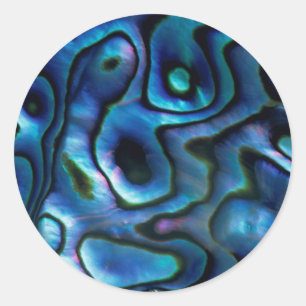 Adesivo EUA, Colorado, Lafayette. Abalone shell