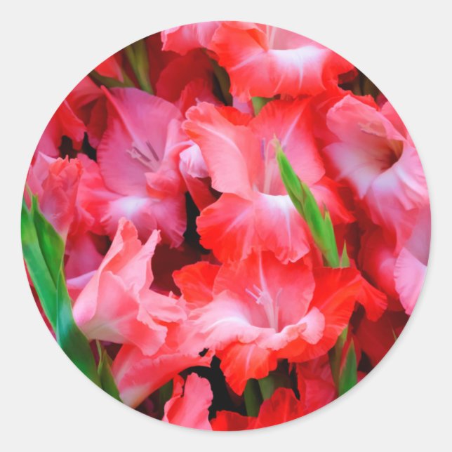 Adesivo EUA, Geórgia, Savannah, Buquê de Gladiolus (Frente)