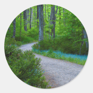 Adesivo EUA, Michigan. Caminho Através das Matas