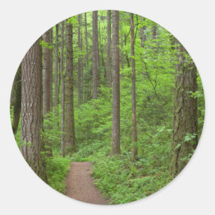 Adesivo EUA, Oregon, Rio Columbia Gorge. Elowah Falls