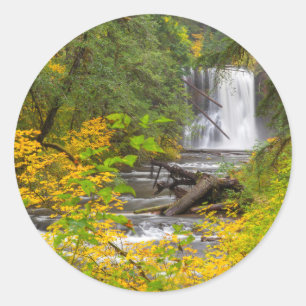 Adesivo EUA, Oregon, Silver Falls State Park 2