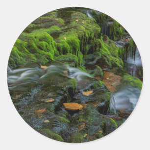 Adesivo EUA, Pensilvânia, Benton, Ricketts Glen State