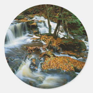Adesivo EUA, Pensilvânia, Rickets Glen State Park