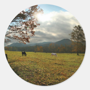 Adesivo EUA, Tennessee. Cavalos no Vale de Cades Cove