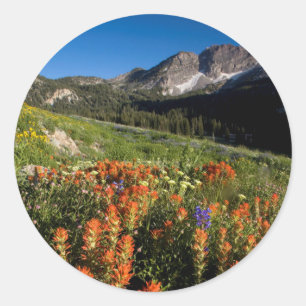 Adesivo EUA, Utah, Floresta Nacional Uinta-Wasatch-Cache