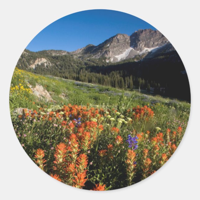 Adesivo EUA, Utah, Floresta Nacional Uinta-Wasatch-Cache (Frente)
