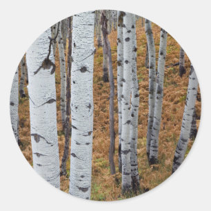Adesivo EUA, Utah, Floresta Nacional Uinta-Wasatch-Cache 2