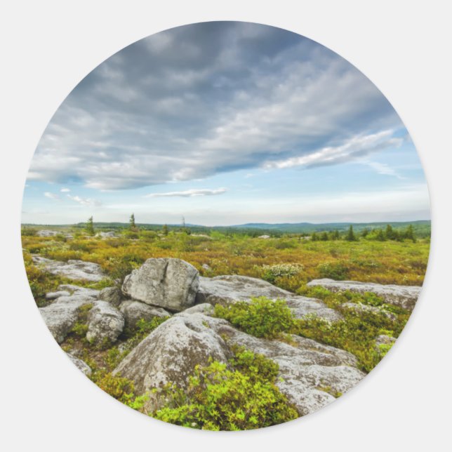 Adesivo EUA, Virgínia Ocidental, Davis. Paisagem Em Dolly (Frente)