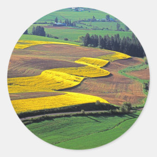 Adesivo EUA, Washington, Palouse, Whitman County 2
