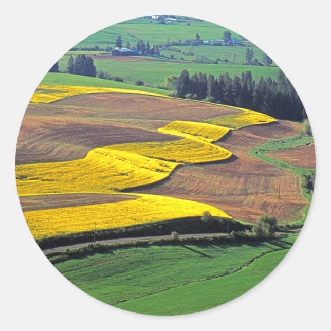 Adesivo EUA, Washington, Palouse, Whitman County 2 (Frente)