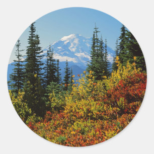 Adesivo EUA, Washington, Parque Nacional Mt. Rainier 2