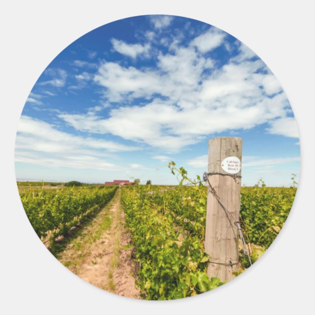 Adesivo EUA, Washington, Walla Walla. Cabernet Sauvignon (Frente)