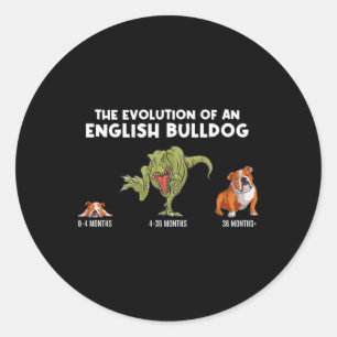 Adesivo Evolução De Um Bulldog Inglês Mamão Diversão