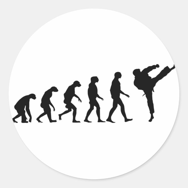 Adesivo Evolução do Karate (Frente)