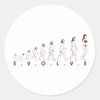 Adesivo evoluir