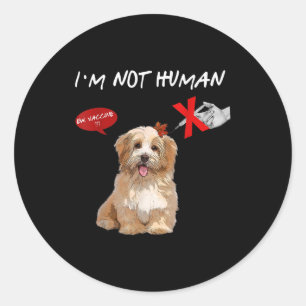 Adesivo Ew Vacine Não sou um Homem Engraçado Shih Tzu Dog 