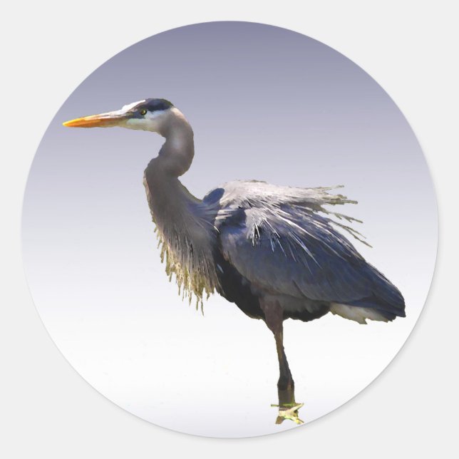 Adesivo Excelente Blue Heron (Frente)