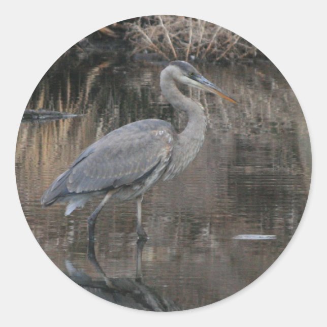 Adesivo Excelente Blue Heron (Frente)