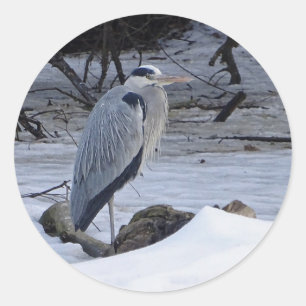 Adesivo Excelente Blue Heron Snow Foto