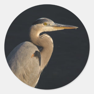 Adesivo Excelente Blue Heron Sticker