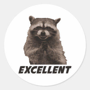 Adesivo Excelente Mau Plotting Raccoon