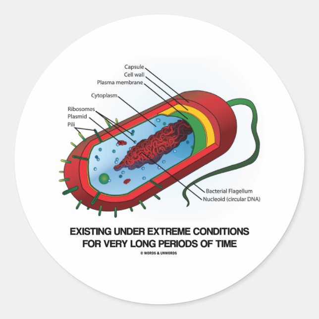 Adesivo Existente Em Condições Extremas Muito Tempo (Frente)