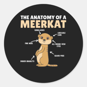 Adesivo Explicação Engraçada Da Anatomia De Um Meerkat