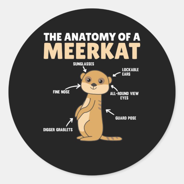 Adesivo Explicação Engraçada Da Anatomia De Um Meerkat (Frente)