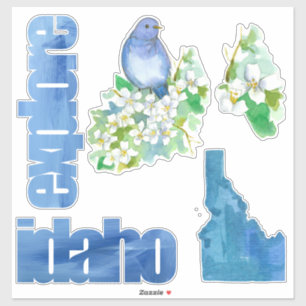 Adesivo Explore a flor do Syringa do Bluebird de Idaho