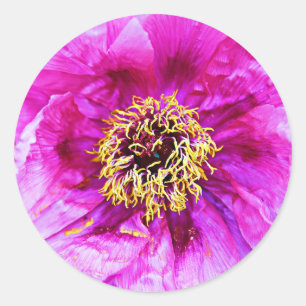 Adesivo Explosão rosa