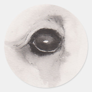 Adesivo Eye of the Bear – Gaze Collection