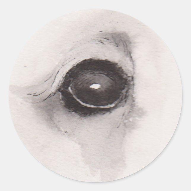 Adesivo Eye of the Bear – Gaze Collection (Frente)